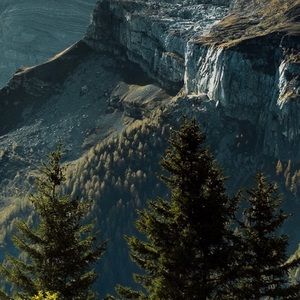 Meet your Posher, Harley